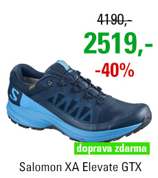 Salomon XA Elevate GTX 402398