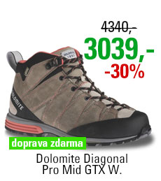 Dolomite Diagonal Pro Mid GTX Women Grey/Red