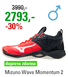 Mizuno Wave Momentum 2 V1GA211263