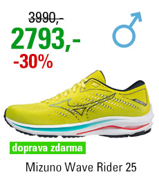 Mizuno Wave Rider 25 J1GC210385
