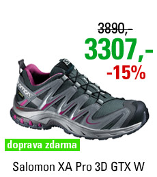 Salomon XA Pro 3D GTX W 368899