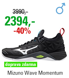 Mizuno Wave Momentum V1GA191245