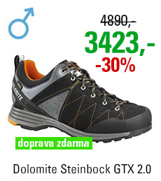 Dolomite Steinbock Low GTX 2.0 Black/Orange