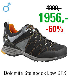 Dolomite Steinbock Low GTX 2.0 Black/Orange