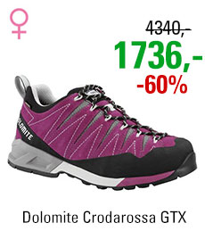 Dolomite Crodarossa GTX Women Purple/Grey