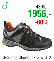 Dolomite Steinbock Low GTX 2.0 Black/Orange