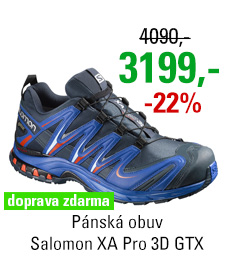 Salomon XA Pro 3D GTX 390720