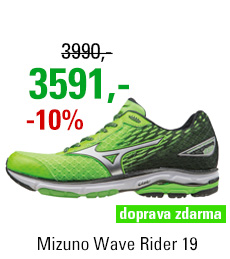 Mizuno Wave Rider 19 J1GC160308