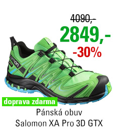 Salomon XA Pro 3D GTX 390711