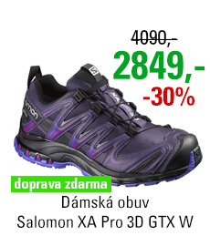 Salomon XA Pro 3D GTX W 390793