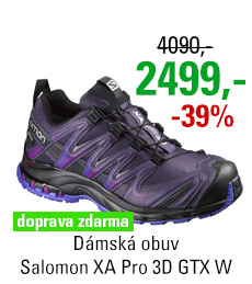 Salomon XA Pro 3D GTX W 390793