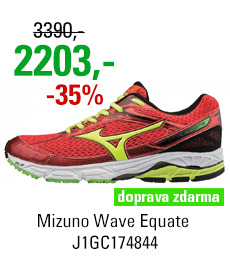 Mizuno Wave Equate J1GC174844