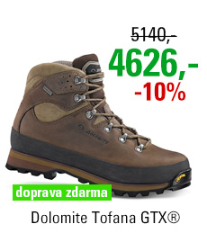 Dolomite Tofana GTX® Dark Brown