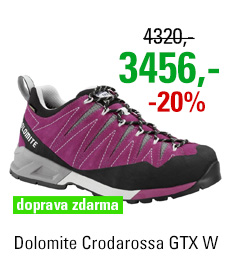 Dolomite Crodarossa GTX Women Purple/Grey