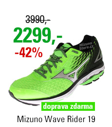 Mizuno Wave Rider 19 J1GC160308