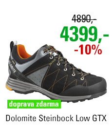 Dolomite Steinbock Low GTX 2.0 Black/Orange