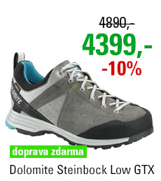 Dolomite Steinbock Low GTX 2.0 Pewter Grey/Atoll Blue