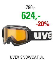 UVEX SNOWCAT black/lgl clear S5538152019