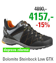 Dolomite Steinbock Low GTX 2.0 Black/Orange