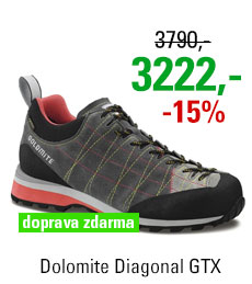 Dolomite Diagonal GTX Grey/Red