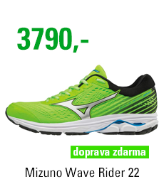 Mizuno Wave Rider 22 J1GC183104