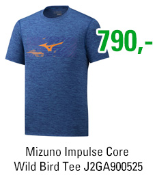 Mizuno Impulse Core Wild Bird Tee J2GA900525