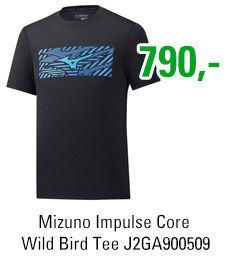Mizuno Impulse Core Wild Bird Tee J2GA900509