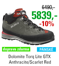 Dolomite Torq Lite GTX Anthracite/Scarlet Red