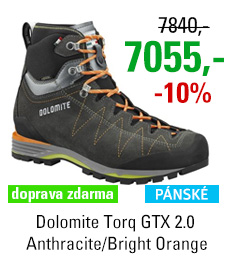 Dolomite Torq GTX 2.0 Anthracite/Bright Orange