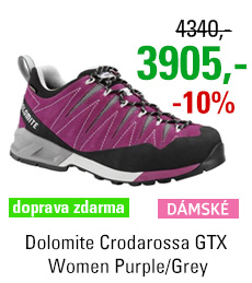 Dolomite Crodarossa GTX Women Purple/Grey