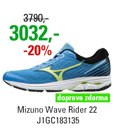 Mizuno Wave Rider 22 J1GC183135