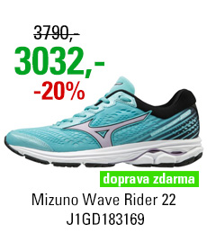 Mizuno Wave Rider 22 J1GD183169