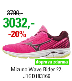 Mizuno Wave Rider 22 J1GD183166