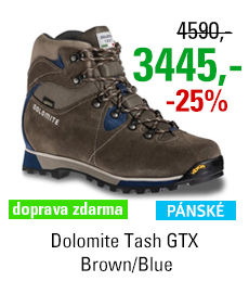 Dolomite Tash GTX Brown/Blue