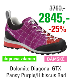 Dolomite Diagonal GTX Women Pansy Purple/Hibiscus Red