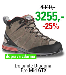 Dolomite Diagonal Pro Mid GTX Women Grey/Red