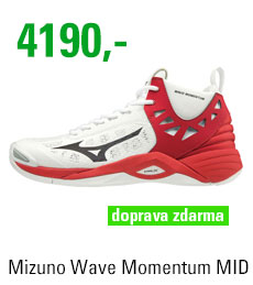 Mizuno Wave Momentum MID V1GA191708