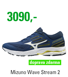 Mizuno Wave Stream 2 J1GC191902