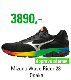Mizuno Wave Rider 23 Osaka J1GC190373