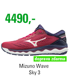 Mizuno Wave Sky 3 J1GD190201
