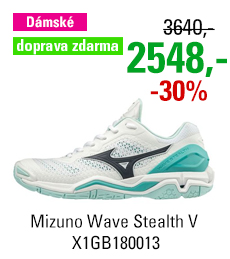 Mizuno Wave Stealth V X1GB180013