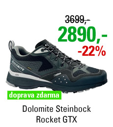 Dolomite Steinbock Rocket GTX Silver/Black