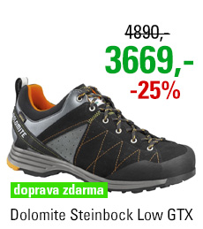 Dolomite Steinbock Low GTX 2.0 Black/Orange