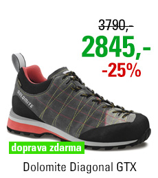 Dolomite Diagonal GTX Grey/Red