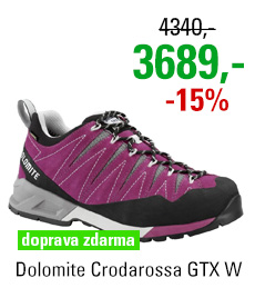 Dolomite Crodarossa GTX Women Purple/Grey