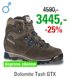 Dolomite Tash GTX Brown/Blue