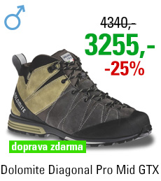 Dolomite Diagonal Pro Mid GTX Grey/Green