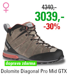 Dolomite Diagonal Pro Mid GTX Women Grey/Red