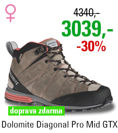 Dolomite Diagonal Pro Mid GTX Women Grey/Red