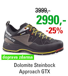 Dolomite Steinbock Approach GTX Black/Silver